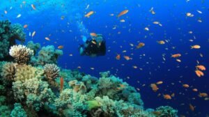 Scuba diving in Kund Malir